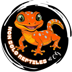 Non-solo-reptiles-di-cg