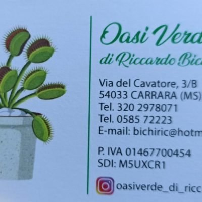 Oasi-verde-di-Riccardo-Bichi-