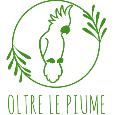 Oltre-le-piumeOltre-le-piume