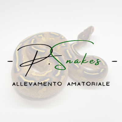 P.snakes