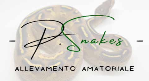 P.snakes