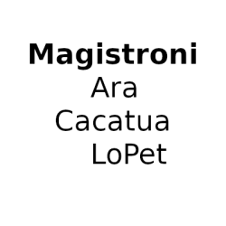 Paolo-Magistroni-1