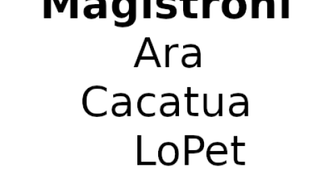 Paolo-Magistroni-1