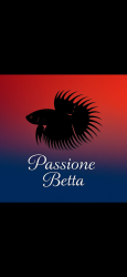 Passione-Betta-