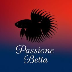 Passione-betta-