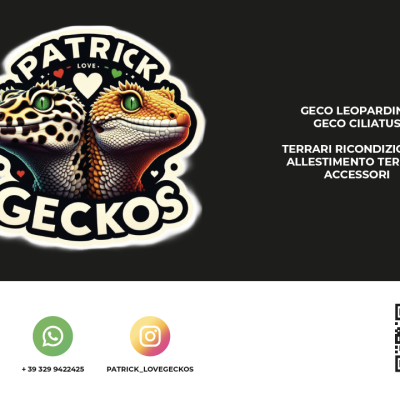 Patrick-Vio-1