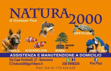 PinoNatura-2000