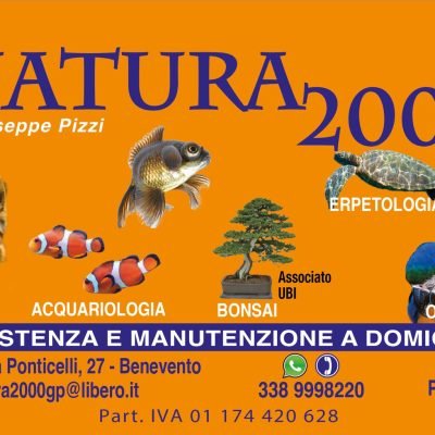 PinoNatura-2000