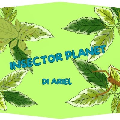 Privato