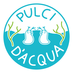 Pulci-dAcqua-1