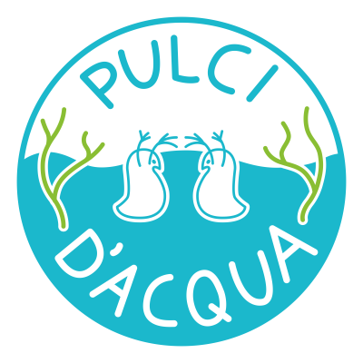 Pulci-dAcqua-1