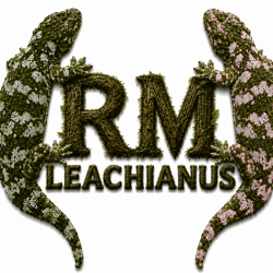 RM_Leachianus_ridotta.png