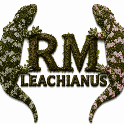 RM_Leachianus_ridotta.png