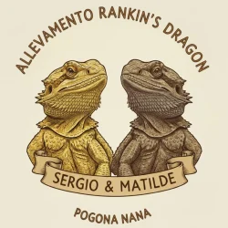 Rankins-Dragon