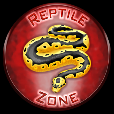 Reptile-Zone-copy-dimensioni-piccole.png