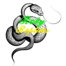 Roby-Reptiles