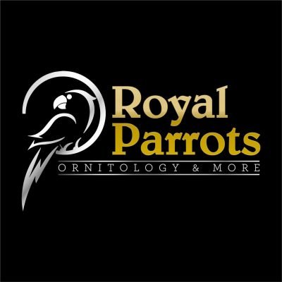 Royal-Parrots-di-Zimbelli-EnricoRoyal-Parrots
