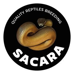 SACARA-Quality-Reptiles-Breeding-