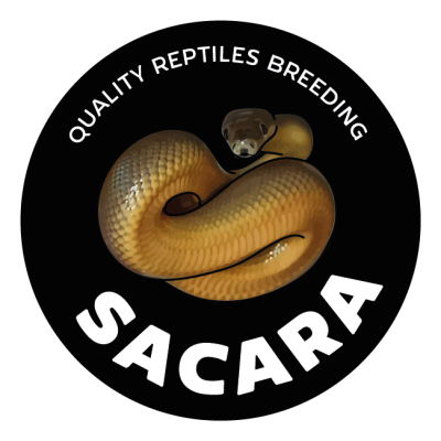 SACARA-Quality-Reptiles-Breeding-