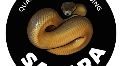 SACARA-Quality-Reptiles-Breeding-