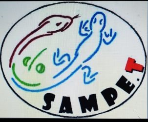 SAMPE.T