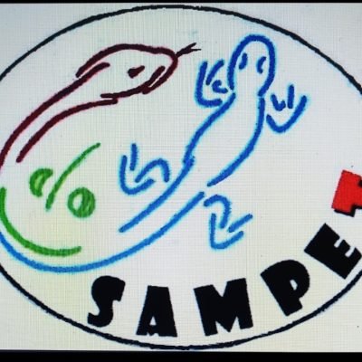 SAMPE.T