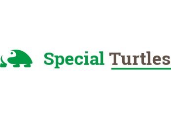 SPECIAL-TURTLES-DI-CALANDRINI-MICHELESPECIAL-TURTLES-DI-CALANDRINI-MICHELE