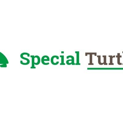 SPECIAL-TURTLES-DI-CALANDRINI-MICHELESPECIAL-TURTLES-DI-CALANDRINI-MICHELE