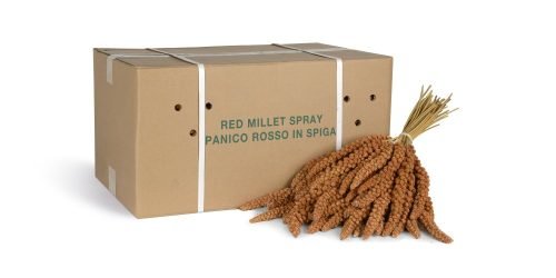 STEFANO-BURATOSTEFANO-BURATO