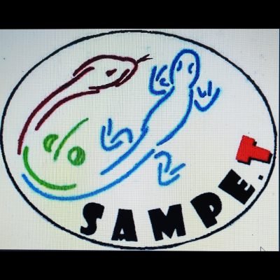 Sampe.t-