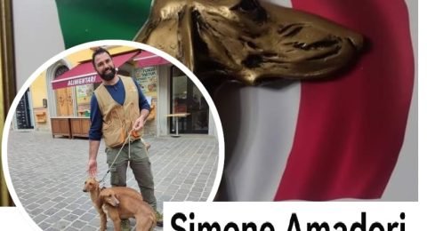 Simone-Amadori