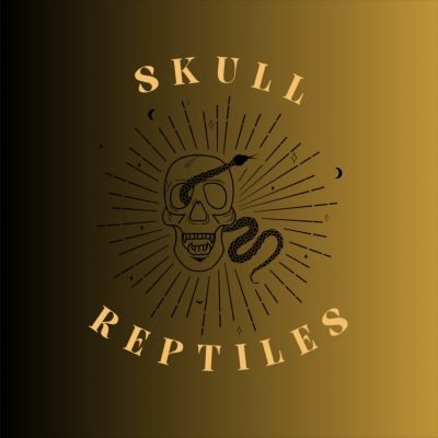 Skull-Reptiles
