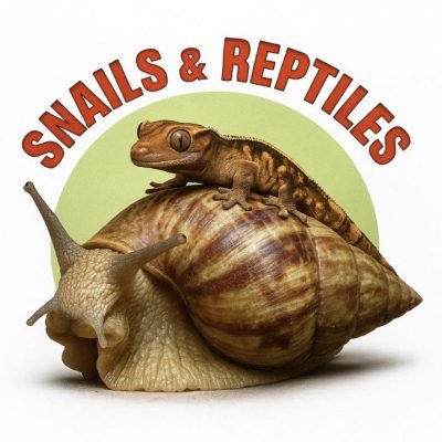 Snailsandreptiles