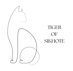 TIGHER-OF-SIKHOTE-ALLEVAMENTO-GATTI-SIBERIANI