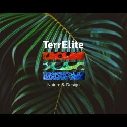 TerrElite.it_