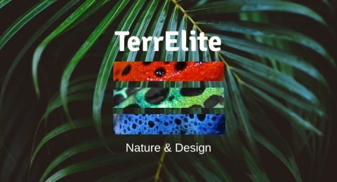 TerrElite.it_