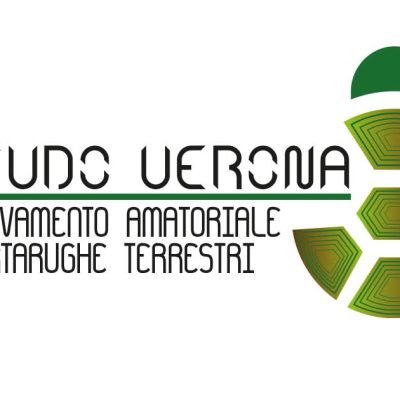 Testudo-verona