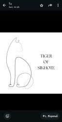 Tiger-of-Sikhote