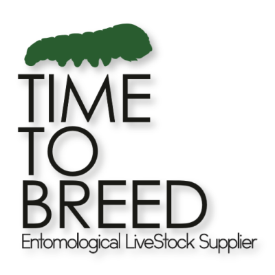 Time-To-Breed-di-Viola-GiacomoTime-To-Breed