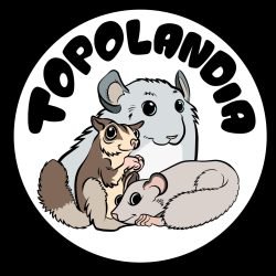 Topolandia-