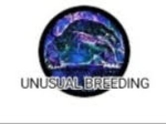 UNUSUAL-BREEDING--1