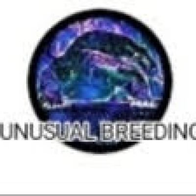 UNUSUAL-BREEDING--1