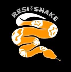 Vendita-pitoni-reali