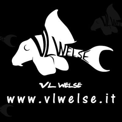 Vincenzo-Luisi