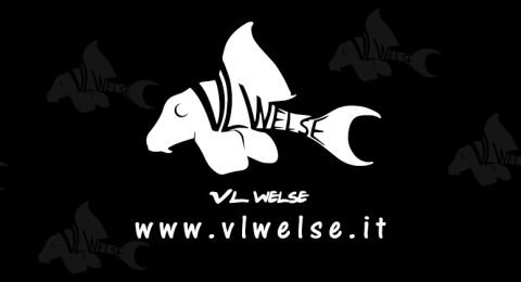 Vincenzo-Luisi