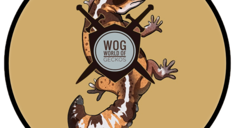 WOG-World-Of-Geckos