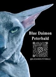 WhatsApp Image 2024-09-02 at 17.32.06