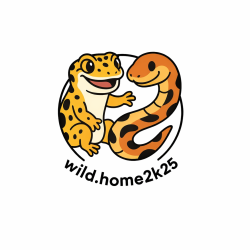 Wild.Home2k25