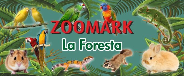 ZOOMARK-LA-FORESTA-DI-PANICHI-ANDREA-C.-S.N.C