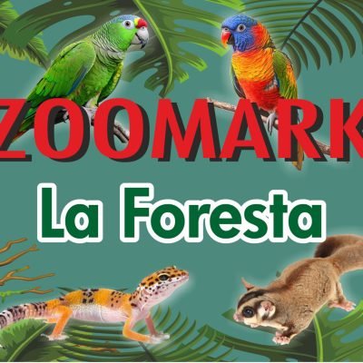 ZOOMARK-LA-FORESTA-DI-PANICHI-ANDREA-C.-S.N.C